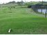 Huge Potential-subdivision and business