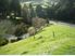 Magic Mangaotaki Lifestyle