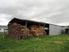 Lifestyle Block with Big Shed