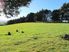 Lifestyle, Land And Views
