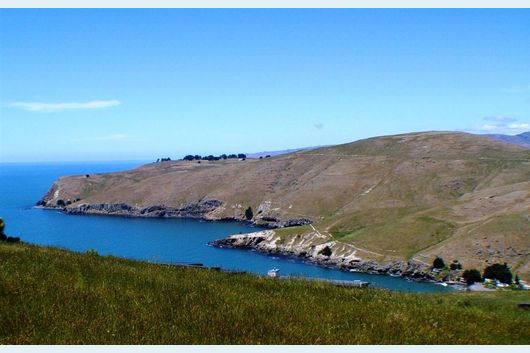 Spectacular Scarborough Sections