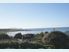 AMAZING VIEW, KAKANUI - Price Reduced