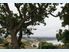 COASTAL MOERAKI - New Market Price