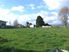 Rural Gem