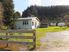 Kiwi's in the Yard........HL2035