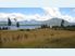 Beechwater - Lake Front Paradise -