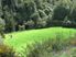 Where Farming and Nature Unite