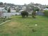 ROOM FOR KIDS - Great Price Reduction