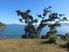 SUBLIME COASTAL SCENERY