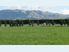 AFFORDABLE LIFESTYLE OPTION - BROOMFIELD
