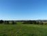 CENTRAL BAY OF ISLANDS