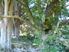 CENTRAL BAY OF ISLANDS