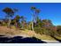 SECLUDED LIVING ON THIS AMAZING SITE!