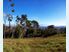 SECLUDED LIVING ON THIS AMAZING SITE!