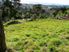 SECLUDED LIVING ON THIS AMAZING SITE!