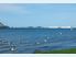 Blank Canvas With Waterfront Backdrop