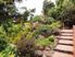 CONTEMPORARY LANDSCAPED LIVING