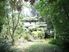 TRANQUILITY AMONGST THE TREES