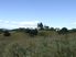 180 DEGREE VIEWS