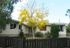 Similar property