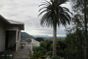 latest property