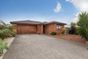 latest property