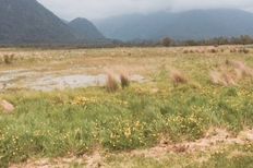 coastal farms for sale