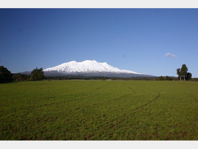 Dating auction website-in-Mount Ruapehu