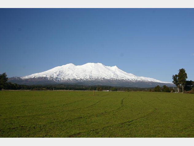 Dating auction website-in-Mount Ruapehu