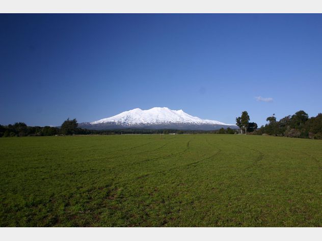 Dating auction website-in-Mount Ruapehu