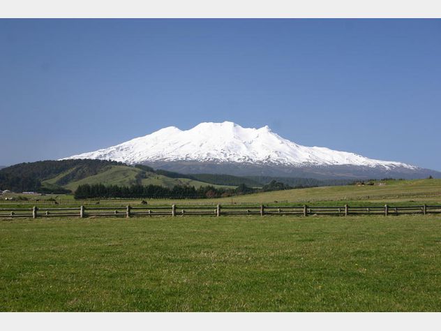 Dating auction website-in-Mount Ruapehu