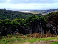 Rare Coastal Offering - The Outlook- Morepork