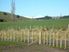 Rural Lifestyle Subdivision