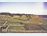 Chatham Island