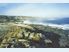 Chatham Island