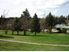 Forest Oaks