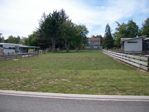 Dating auction website-in-Mount Ruapehu